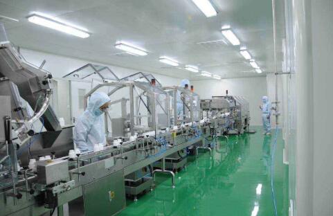 食品厂生产流水线实景图